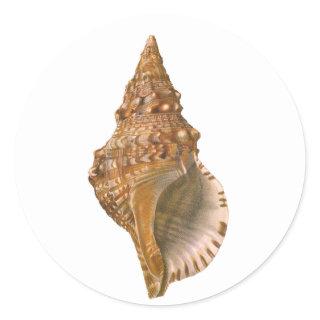 Vintage Triton Seashell Shell, Marine Ocean Animal Classic Round Sticker