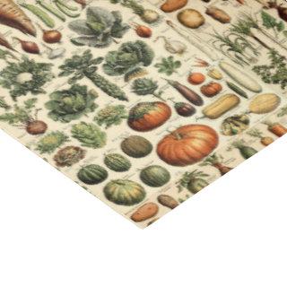 Vintage Vegetable Art by Adolphe Millot Pattern Tissue Paper