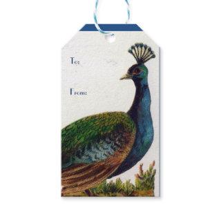 Vintage Victorian Peacock Gift Tags