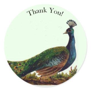 Vintage Victorian Peacock Thank You Classic Round Sticker