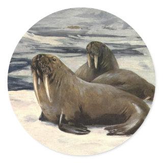 Vintage Walruses in the Arctic Snow by CE Swan Classic Round Sticker