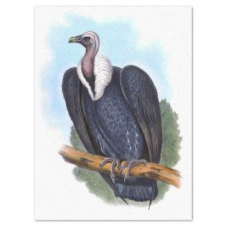 Vintage White-Rumped Vulture Bird Decoupage Tissue Paper