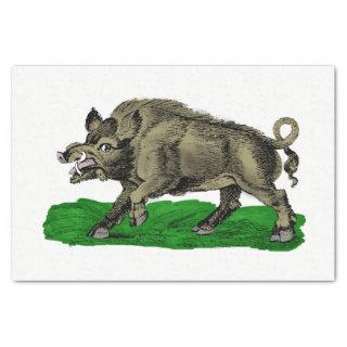 Vintage Wild Boar Drawing BW #3C Tissue Paper