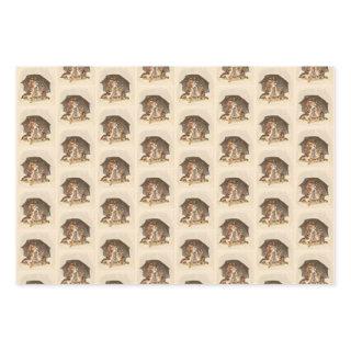 Vintage Winter Cats  Set