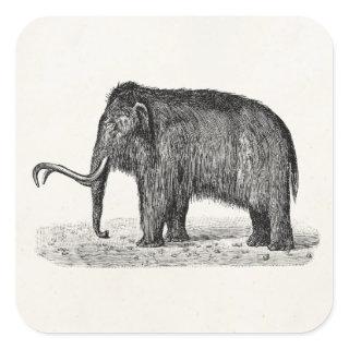 Vintage Woolly Mammoth Illustration Wooly Mammoths Square Sticker