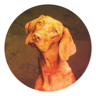 Vizsla Classic Round Sticker