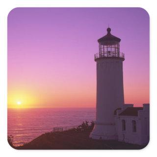 WA, Cape Disappointment State Park, North Head 2 Square Sticker