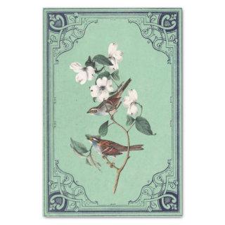 Warbler Bird on White Dogwood Green French Frame  Tissue Paper
