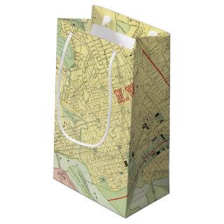 Washington, DC Small Gift Bag