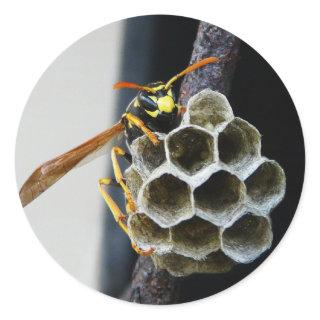 Wasp Nest and Worker Classic Round Sticker