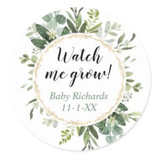 Watch me grow greenery gold eucalyptus baby shower classic round sticker