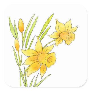 Watercolor and Pen Daffodils Square Sticker
