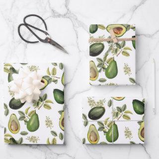 Watercolor Avocado Botanical Pattern  Sheets