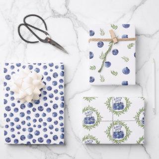 Watercolor blueberries pattern  sheets