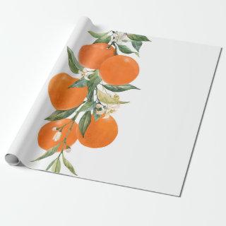 Watercolor citrus fruits orange lemon