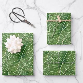 Watercolor Green Tropical Leaves Pattern  Sheets