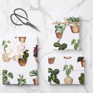 Watercolor Potted Plants Terracotta Pots Pattern   Sheets