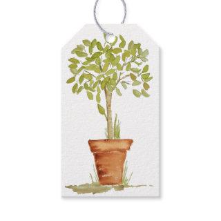 Watercolor Topiary Tree Gift Tags