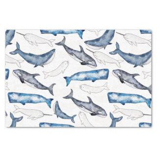 Watercolor Whales Tissue Paper