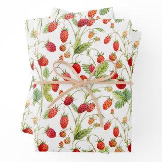 Watercolor Wild Strawberry Pattern  Sheets