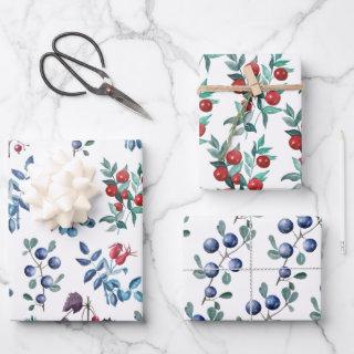 Watercolor Winter Berries Collection  Sheets
