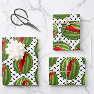 Watermelon Palestine Map Slice  Sheets