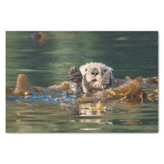 Waving Sea Otter Tissue Paper