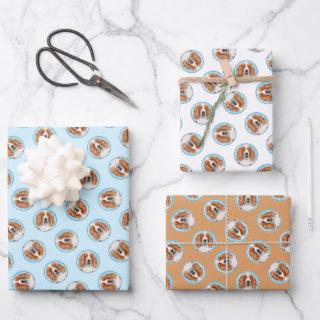 Welsh Springer Spaniel Painting Original Dog Art  Sheets
