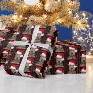 Welsh Terrier with Santa Claus Hat