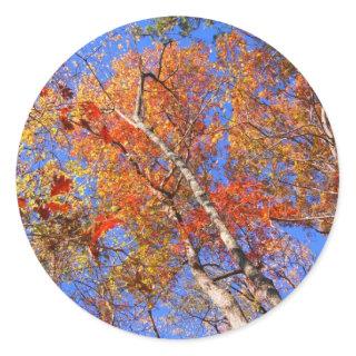 West Mt. Autumn Hot Springs National Park Gifts Classic Round Sticker