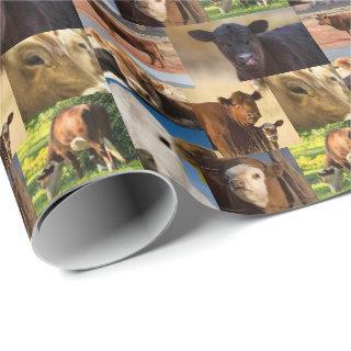 Western Cows Collage