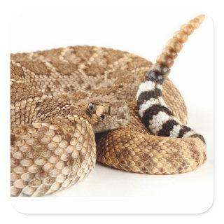 Western Diamondback Rattlesnake. Square Sticker