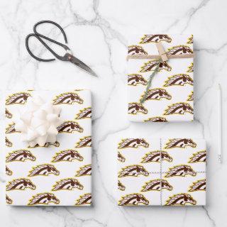 Western Michigan University | Broncos  Sheets