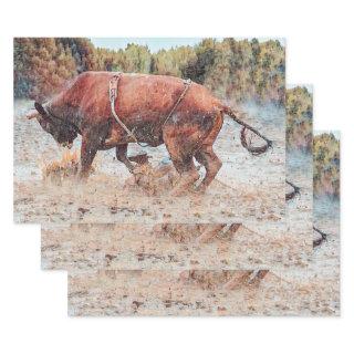 Western Rodeo Bull Country Cowboy Vintage Rustic  Sheets
