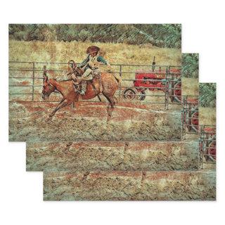 Western Rodeo Country Horse Riding Texture  Sheets
