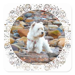 Westie on the Rocks Square Sticker