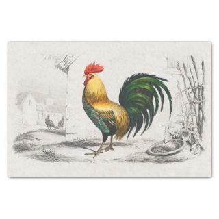 What a Standout! Royal Rooster in a Cocky Pose Tissue Paper