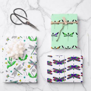 Whimsical Dragonflies and Dandelions Hand Drawn   Sheets