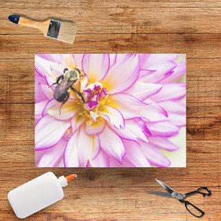 White And Pink Dahlia With Bumble Bee Tissue Paper