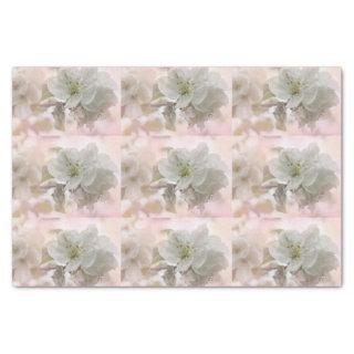 White Apple Blossom Photograph Patterned Tissue Paper