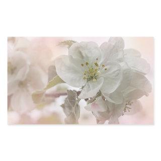 White Apple Blossom Photograph Rectangular Sticker