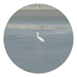 White Bird on Gray Sand Beach Art Print Classic Round Sticker