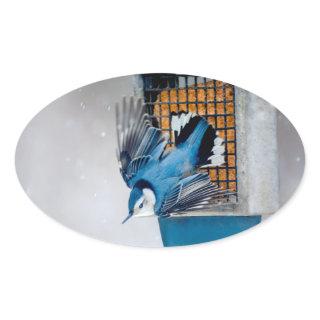 White-Breasted Nuthatch in Snow - Original Photo Oval Sticker