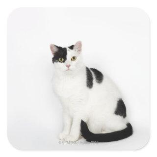White cat with black spots square sticker