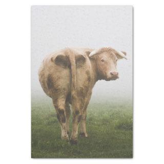 White Cow Bull looking Back in a Foggy Field Tissue Paper