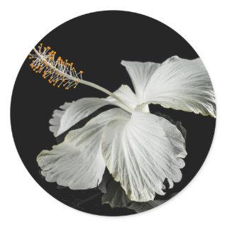 White Hibiscus Flower Side View Classic Round Sticker