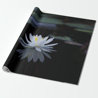White Lotus Flower Zen