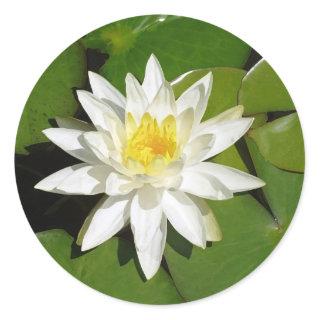 White Lotus Sticker