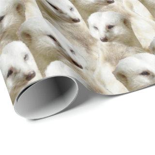 White Meerkats