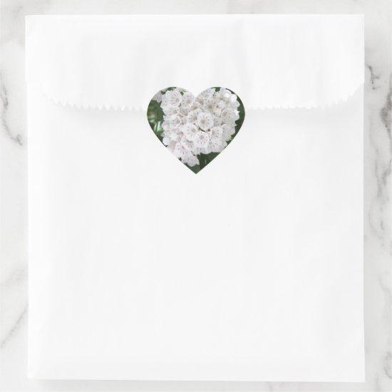 White Mountain Laurel Star Shaped Flowers Heart Sticker